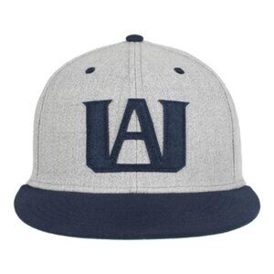 My Hero Academia U.A. High School Snapback Hat